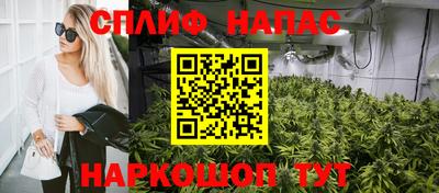 jwh Кингисепп