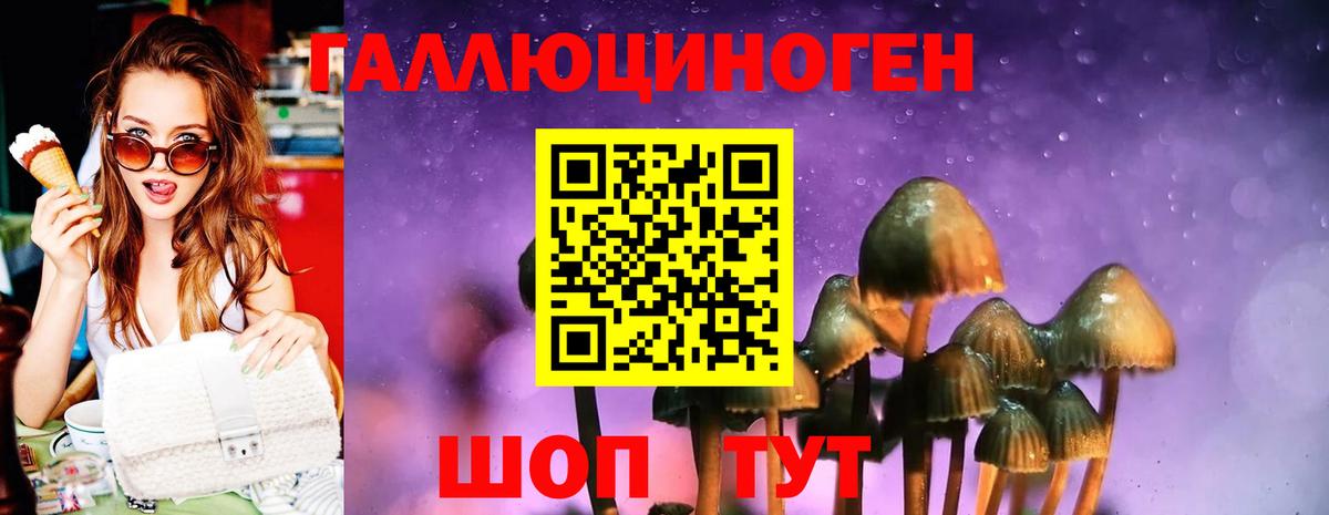 Ярцево  Псилоцибиновые грибы ЛСД  Вход с VPN 